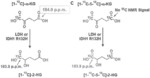 ISOTOPES OF ALPHA KETOGLUTARATE AND RELATED COMPOUNDS AND THEIR USE IN HYPERPOLARIZED IMAGING