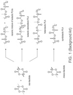 Block copolymers of cyclic esters and processes for preparing same