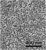 Method for preparing ammonium thiomolybdate-porous amorphous carbon composite superlubricity film