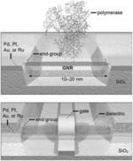PRECISION GRAPHENE NANORIBBON WIRES FOR MOLECULAR ELECTRONICS SENSING AND SWITCHING DEVICES
