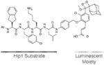 CHEMILUMINESCENCE PROBES FOR TUBERCULOSIS