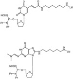 Reagents Useful for Synthesizing Rhodamine-Labeled Oligonucleotides