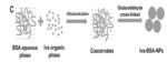 NANO-COMPOSITE MICROPARTICLES OF POLYMYXIN