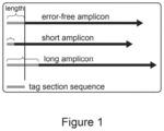Method for analyzing nucleic acid sequence
