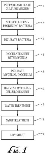 Hybrid mycelial cellulose sheet and preparation thereof
