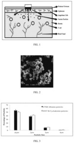 System and method for microneedle delivery of microencapsulated vaccine and bioactive proteins