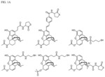 6-acetylmorphine analogs, and methods for their synthesis and use