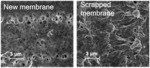 Polyamide (PA) nanofiltration (NF) membrane, and preparation method thereof by regeneration from scrapped microfiltration (MF) membrane
