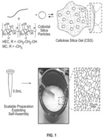 Biomimetic, moldable, self-assembled cellulose silica-based trimeric hydrogels and their use as viscosity modifying carriers in industrial applications