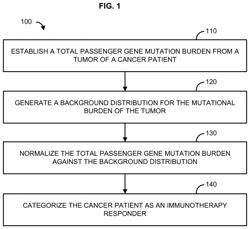 Immunotherapy methods for patients whose tumors carry a high passenger gene mutation burden
