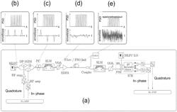Optical communication system using mode-locked frequency comb and all-optical phase encoding for spectral and temporal encrypted and stealthy transmission, and for optical processing-gain applications