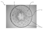 Mit biologischen Zellen besiedeltes 3D-Gerüst aus biokompatiblem Polymer und dessen Herstellung