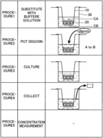 CELL CULTURE METHOD AND CELL CULTURE MEMBRANE