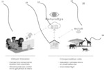 Systems and Methods to Preserve Wildlife and Enable Remote Wildlife Tourism