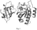 RAS INHIBITORY PEPTIDES AND USES THEREOF